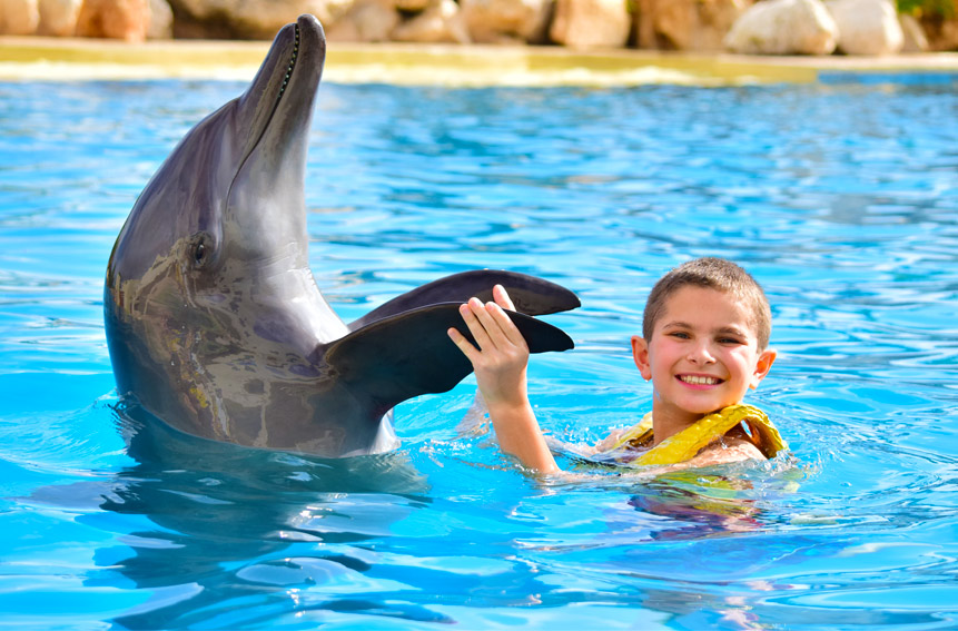 Dolphinaris ventura park