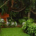 jardin Eco-hotel El Rey del Caribe Cancún