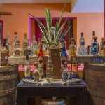tequila en Hotel Oasis Palm - Todo incluido