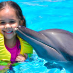 delfines cancun