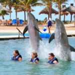 nado con delfines tour familiar cancun