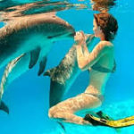tour delfines cancun