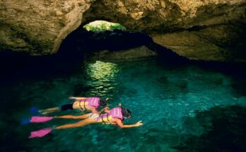 precio parqu xcaret